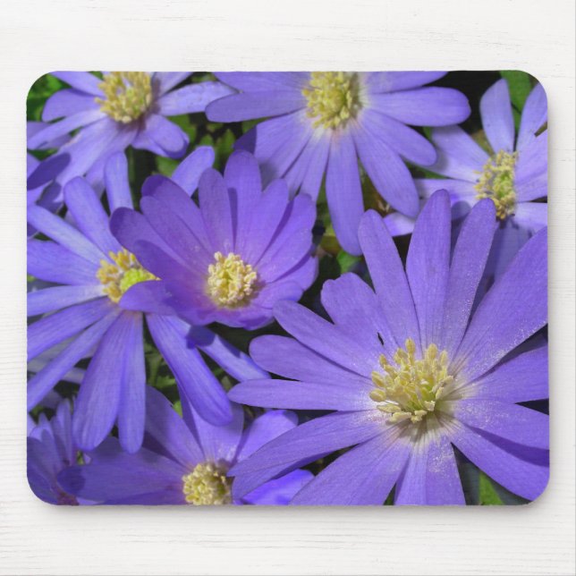 Mousepad Flores Azuis Púrpura/Presentes Azuis (Frente)