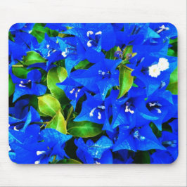 Mousepad Flores azuis vibrantes do Bougainvillea