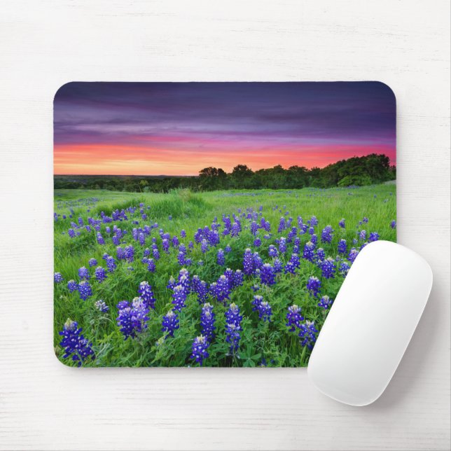 Mousepad Flores | Bluetooth no Texas Sunset (Com mouse)