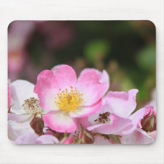 Mousepad Flores bonito, cor-de-rosa, rosa silvestre, para s (Frente)