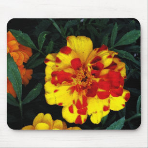 Mousepad Flores bonito de Marigold, Vermelhas e Amarelas