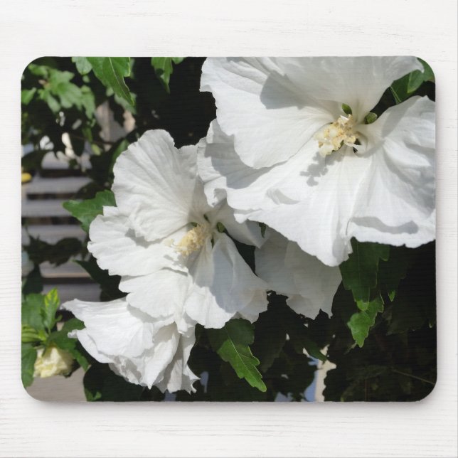 Mousepad flores brancas acolhedoras (Frente)