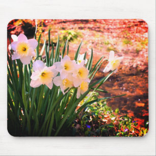 Mousepad Flores Brancas De Daffodil Por Brook
