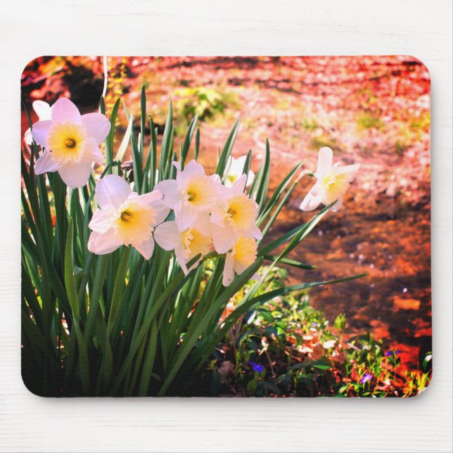 Mousepad Flores Brancas De Daffodil Por Brook (Frente)