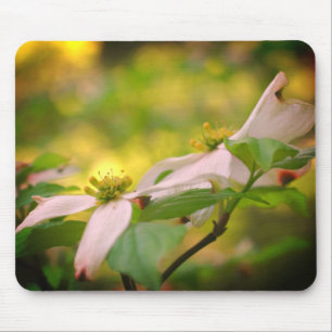 Mousepad Flores Brancas De Dogwood