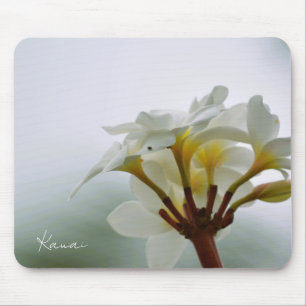 Mousepad Flores Brancas de Plumeria Kauai (foto tirada por