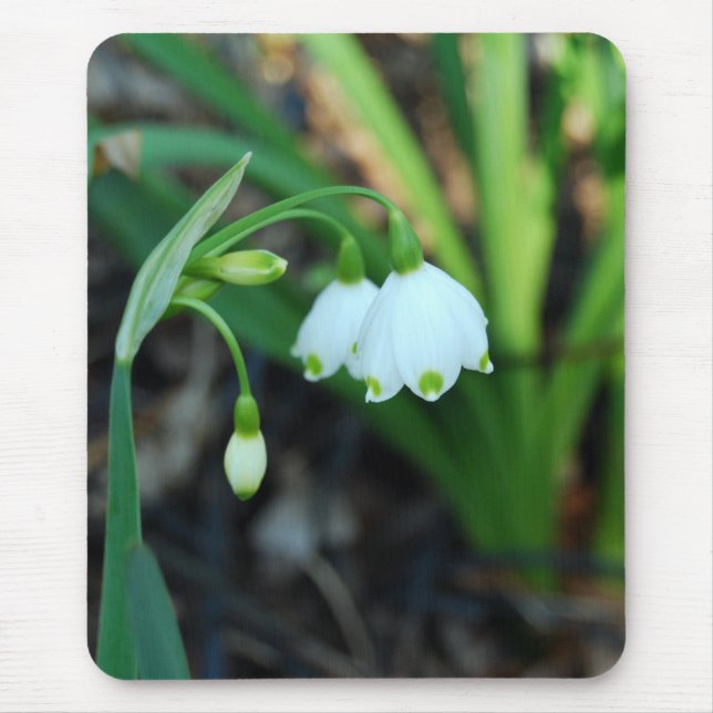 Mousepad Flores brancas delicadas de Alleghany Spurge (Frente)
