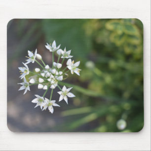 Mousepad Flores Brancas Delicam Foto Floral Flor