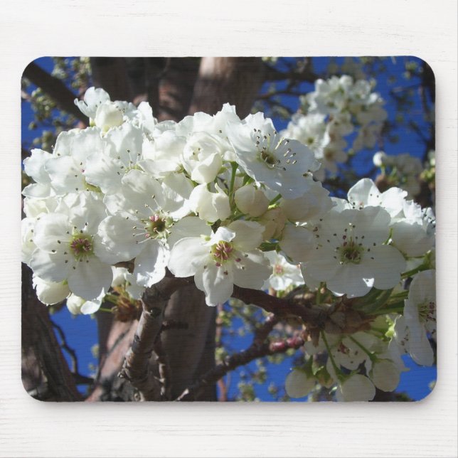 Mousepad Flores brancas II Primavera (Frente)