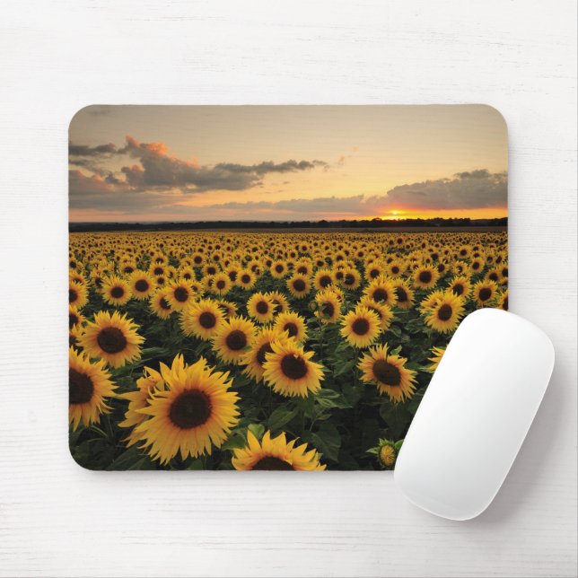 Mousepad Flores | Campo de girassol (Com mouse)