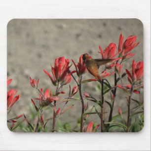Mousepad Flores cardeais de beija-flor