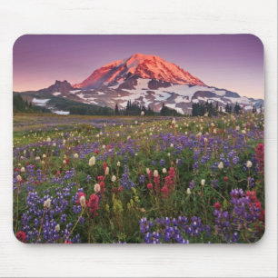 Mousepad Flores coloridas no parque nacional mais chuvoso