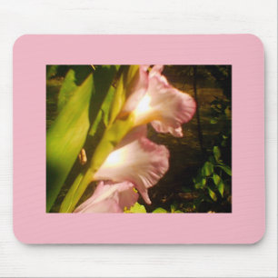 Mousepad Flores cor-de-rosa de julho