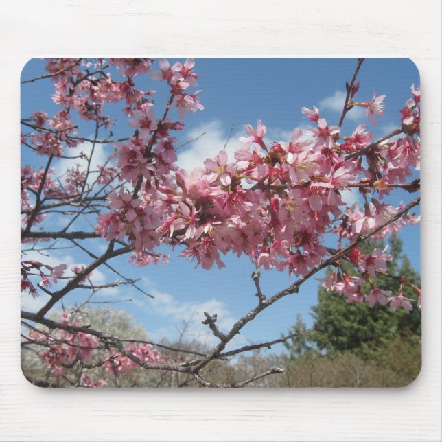 Mousepad Flores cor-de-rosa do primavera (Frente)