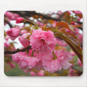 Mousepad Flores da flor de cerejeira do rosa quente