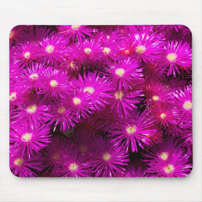 Mousepad Flores de Aster Rosa (Frente)