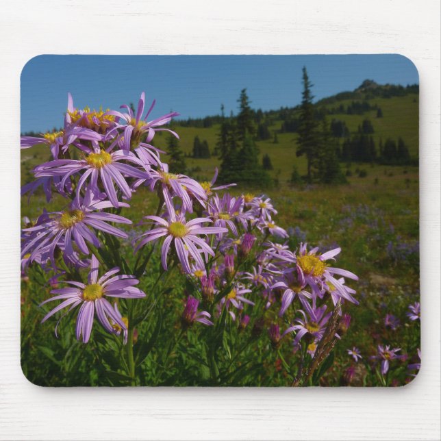 Mousepad Flores de Aster Roxo no Monte Rainier (Frente)