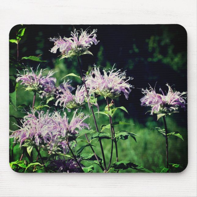 Mousepad Flores De Boca Roxa (Frente)