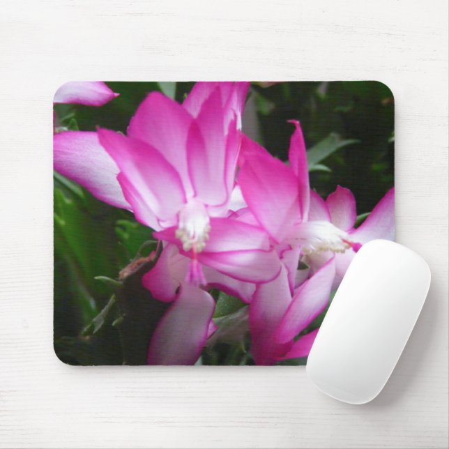 Mousepad Flores de Cactus de Natal (Com mouse)