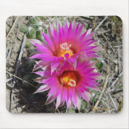 Mousepad Flores de Cactus F5 Bola "Escobaria vivipara"