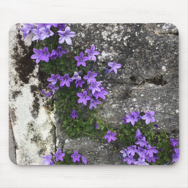 Mousepad Flores de Campanula Crescendo em uma Parede (Frente)