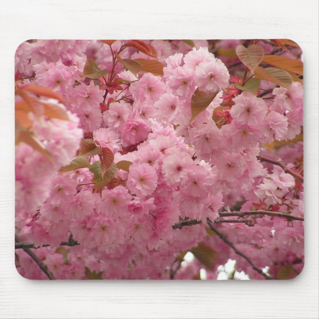 Mousepad Flores de cerejeira (Frente)