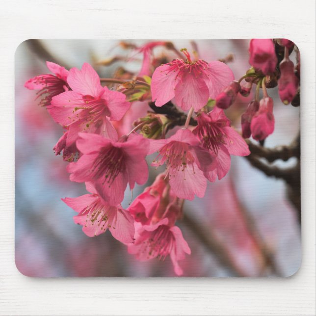 Mousepad Flores de cerejeira bonitas (Frente)