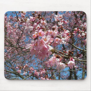 Mousepad Flores de cerejeira e primavera do rosa da abelha