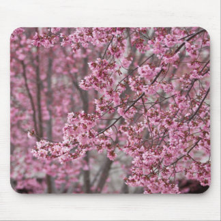 Mousepad Flores de Cerejeira Sakura Cor-de-Rosa Fluindo