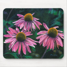 Flores de Cone Pink -