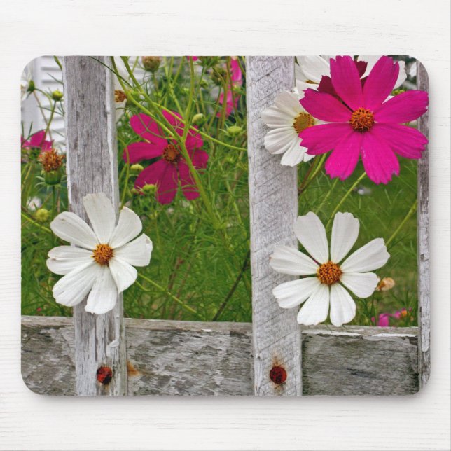 Mousepad Flores de Cosmos em uma Velha Cerca (Frente)