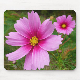 Mousepad Flores de Cosmos Rosa