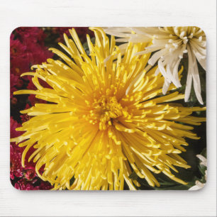 Mousepad Flores de crisântemos