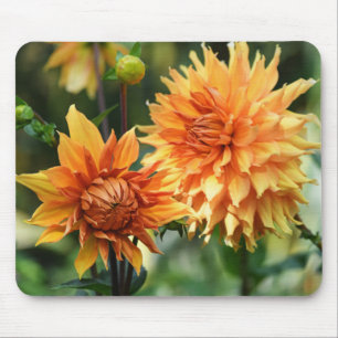 Mousepad Flores de Dália Laranja e Amarela nos Jardins Wisl