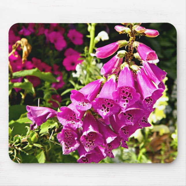 Mousepad Flores de Dedaleira Rosa (Frente)