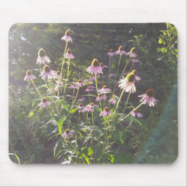 Mousepad Flores de Echinacea ao Sol