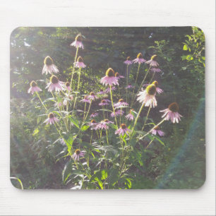 Mousepad Flores de Echinacea no Sol