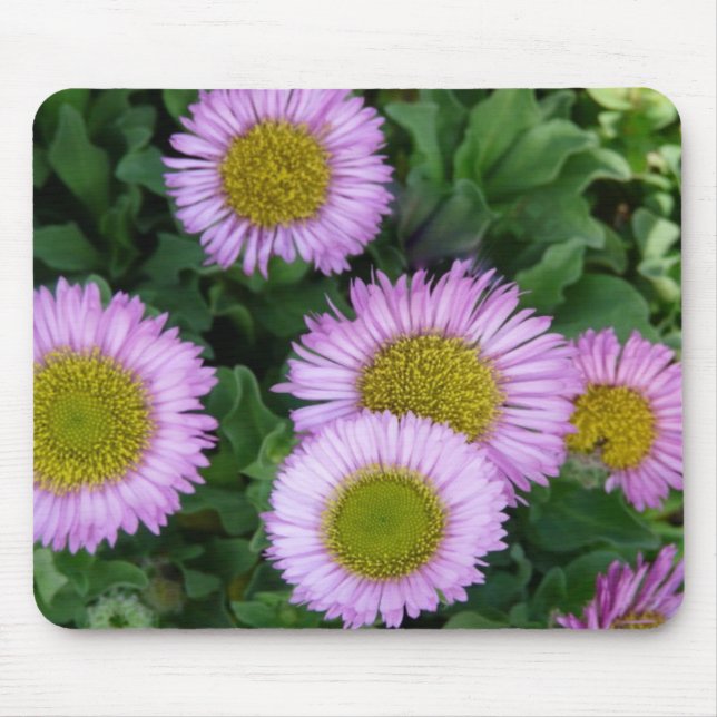 Mousepad Flores de Erigeron de Lavanda bonito (Frente)