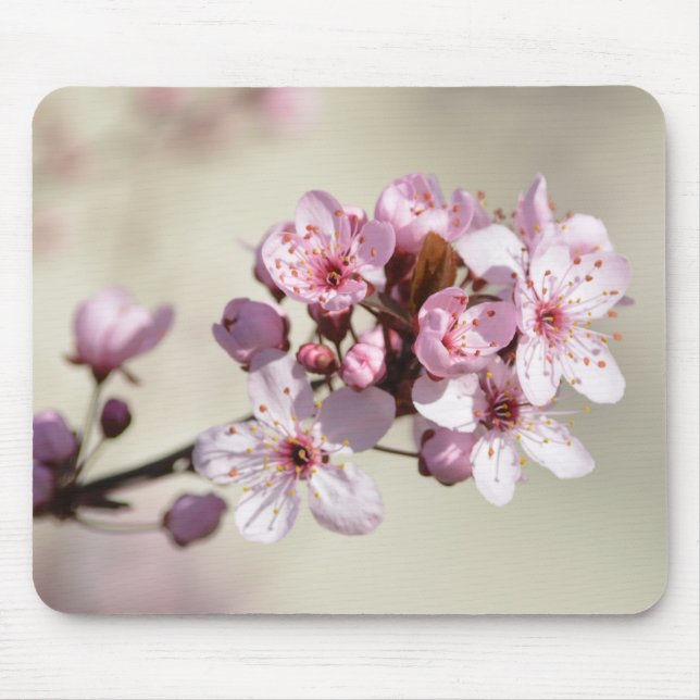 Mousepad Flores de Flores de Cereja (Frente)