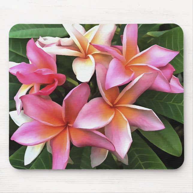Mousepad Flores De Frangipani Cor-De-Rosa Pálido (Frente)