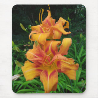 Mousepad Flores de Hemerocallis laranja