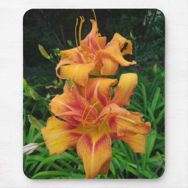 Mousepad Flores de Hemerocallis laranja (Frente)