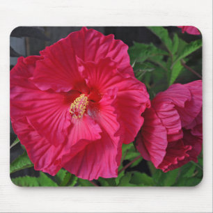 Mousepad Flores de hibisco rosa