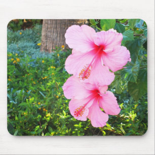 Mousepad Flores de Hibiscus rosa