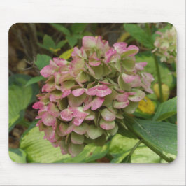 Mousepad Flores de Hortênsia de Outono com Folhas de Hosta 