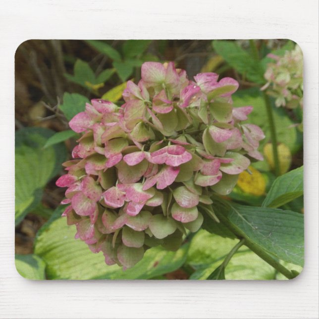 Mousepad Flores de Hortênsia de Outono com Folhas de Hosta  (Frente)