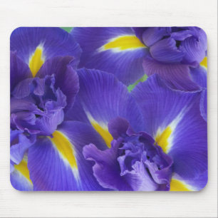 Mousepad Flores de íris