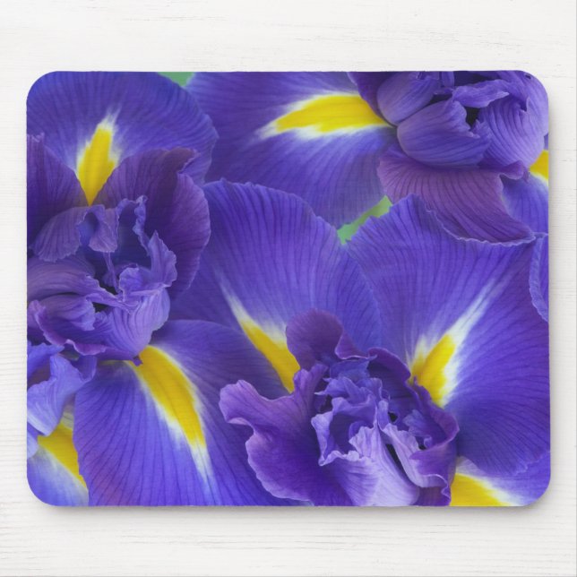 Mousepad Flores de íris (Frente)