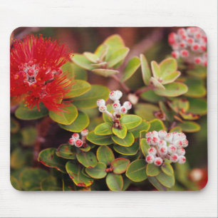 Mousepad Flores de Lehua no Parque Nacional dos Vulcões do