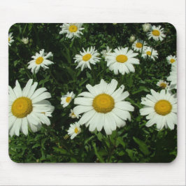 Mousepad flores de margarida branca